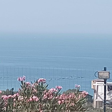Casa Vacanze Abbacari Realmonte Dış mekan fotoğraf